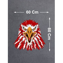 60x60 Cm