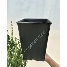 10 Adet 8 Lt Kare Üretim Saksısı Siyah Saksı Fide Saksı