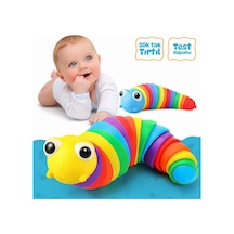 Circle Toys Kıvrılabilen Renkli Tırtıl - Giderici Ve Motor Gelişimi Destekleyen Eğitici Oyuncak