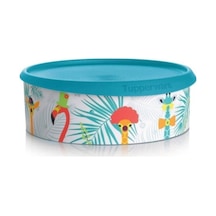 Tupperware Tek Parmak Kurabiye Kutusu Turkuaz N1143578 Çok Renkli
