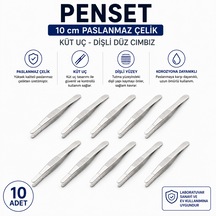 Penset 10 Cm Paslanmaz Çelik - Küt Uç Dişli Düz Cımbız 10 Adet