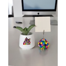 Renkli Bubble Tutucu Ve Renkli Kedi Baskılı Saksı Ofis Seti Renkli