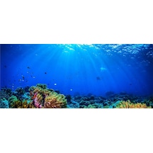 Kanki Pet Kp1556532 Akvaryum Arka Fon Yapıştırma 155 X 65 Cm