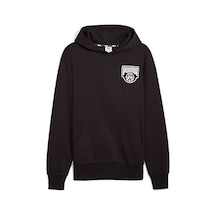 Puma Posterize Hoodie Erkek Günlük Sweatshirts 63029001 Renkli renkli