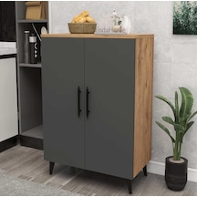 Reyo Home Enda 3 Raflı 2 Kapaklı Çok Amaçlı Dolap Antrasit - Çam