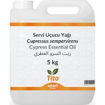 Tito Servi Uçucu Yağı Cupressus Sempervirens 5 KG