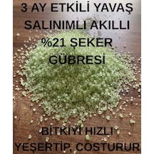 Şeker Gübresi As Yavaş Salınımlı Akıllı Çim Gübresi 2 KG