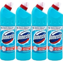 Adaland Domestos Çamaşır Suyu Okaliptüs Ferahlığı 750 Ml 4'lü Diğer