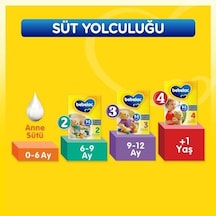 3 Devam Sütü 400 G 9-12 Ay