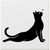 Yoga Yapan Kedi Sticker 3 20x20