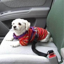 Araç Araba Köpek Kedi Emniyet Kemeri Tasması Oto Aksesuarı Evcil Siyah