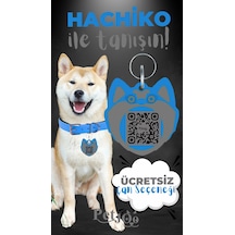 Petjoo 19.Hachiko Gri-Mavi Qr'lı Köpek Künyesi