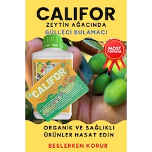 Gülleci Bulamacı 1 L