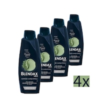 Blendax Men Kepeğe Karşı Etkili Kil Özlü Şampuan 4 x 500 ML