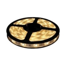 Global 5 Metre Şerit Led 3 Çip İç Mekan Silikonsuz Günışığı