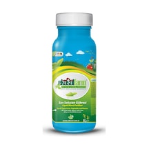 1 L