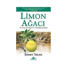 Limon Ağacı - Dppq-752960