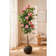 Yapay Pembe Gül Ağacı 150 Cm 27x33 Siyah Küre Saksılı Beyaz