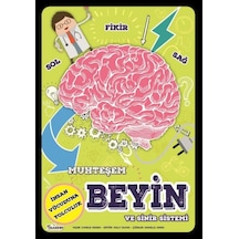 Muhteşem Beyin Ve Sinir Sistemi - Rxlu-597763
