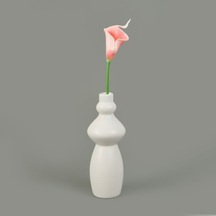 Dal Gala Çiçeği - Asorti - 33 Cm Çok Renkli