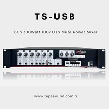 Ts  -  300 Usb 100V Tepesound