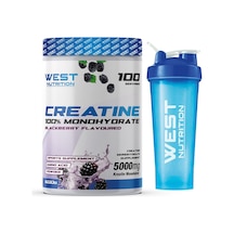 West Nutrition Kreatin Monohidrat 100 Servis Aromalı + Hediye