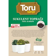 Sukulent Toprağı Özel Karışım 40 L