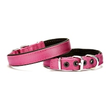 Softlu Köpek Boyun Tasması 2 Cm X 40 Cm Mor Çok Renkli