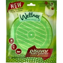 Wellnax Pisuvar Koku Giderici Çam Ormanı Kokulu