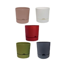 5 Adet Polıwork Saksı Begonya 12 Cm Renkli