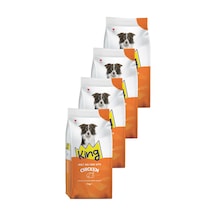 King Tavuklu Yetişkin Köpek Maması 4 X 7 Kg