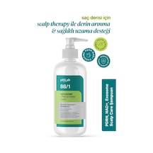 Phlab Hair Pdrn Nad+ & Exosome Hair & Scalp Care Şampuan 250 ML