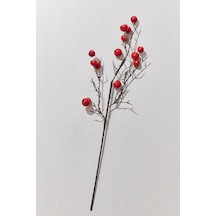 Pasabahce Fruit 68 Cm Kırmızı - 1 Adet