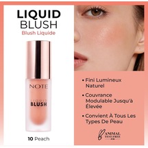 Cosmetics Liquid Blush Nemlendirici Etkili Likit Allık - 10 Peach Işıltılı Çok Renkli