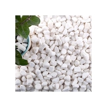 Dolomit Taş 15 Kg 1-2 Cm Beyaz Dolomit Taş Saksı Dibi Dekoratif Taş Teraryum Taşı Bahçe Taşı Diğer