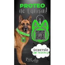 Petjoo 24.Proteo Gri-Yeşil Qr'lı Köpek Künyesi