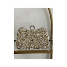Linalya Jewelry Gold & Gümüş Detaylı Abiye Model Çanta Çok Renkli