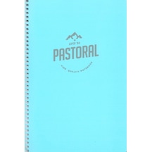 Gıpta Defter Pastoral A4 96 Yp.Çizgili Pp Kapak Spiralli N11.1553