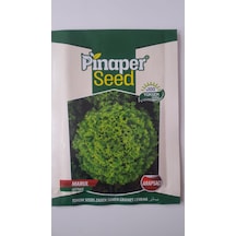Marul Arapsaçı Tohumu 1 Paket
