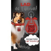 Petjoo 23.Lad Gri-Kırmızı Qr'lı Köpek Künyesi
