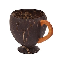 Hindistan Cevizi Coconat Bardak Coconut Glass