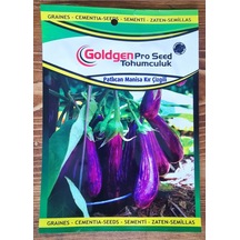 Goldgen Pro Seed Patlıcan Manisa Kır Çizgili