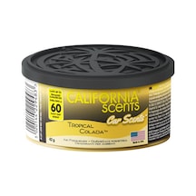California Car Scents Tropical Colada Tropikal Oto Kokusu