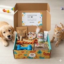 Candostumbox Kedi Hediye Kutusu Kediler İçin Oyuncak, Atıştırma