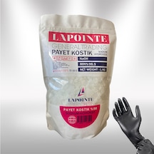 Lapointe Sodyum Hidroksit Kostik Payet 1 KG