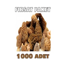 +1000 Adet Kuzu Göbeği Mantarı Tohumu Fırsat Paketi