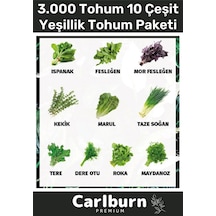 12 Ay Ekim Yapılabilen 3.000 Tohum Ayrı Ayrı Paketli 10 Çeşit Yeşillik Sürdürülebilir Tohum Paketi