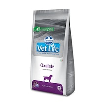 Vet Life Natural Adult Dog Oxalate Diyet Yetişkin Köpek Maması 2 Kg