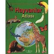Hayvanlar Atlası: Animal Atlas