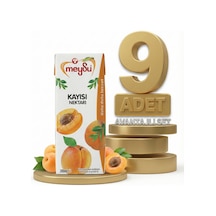 Meysu Nektar Kayısı 9x200 Ml
